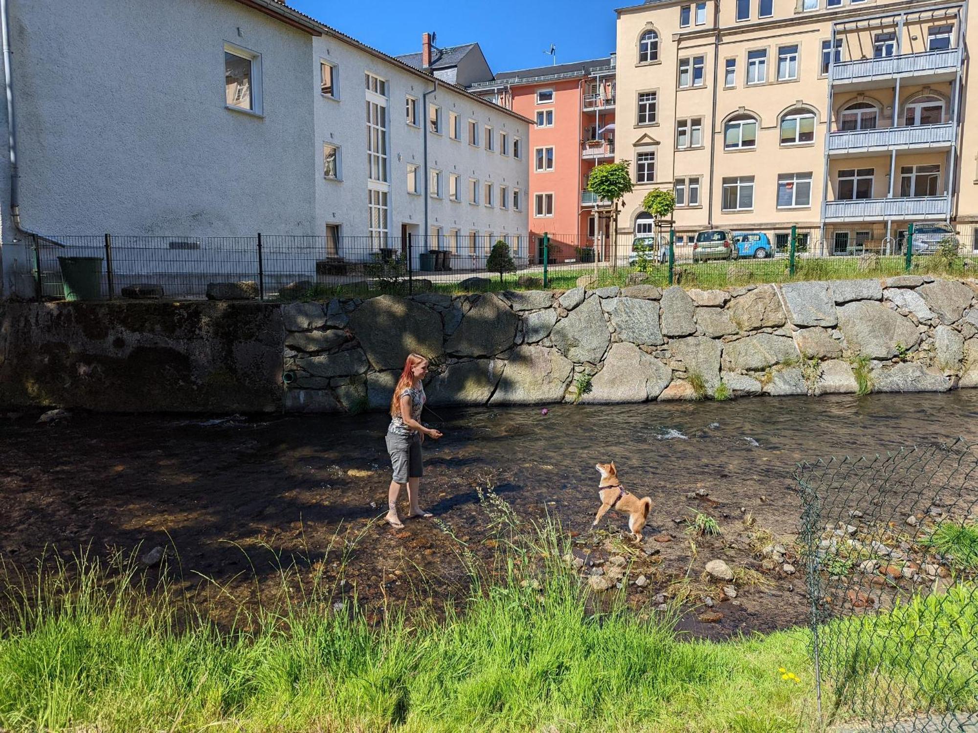 Hw1 - Urlaubsmagie - Sauna&Whirlpool Zum Entspannen Sebnitz Buitenkant foto