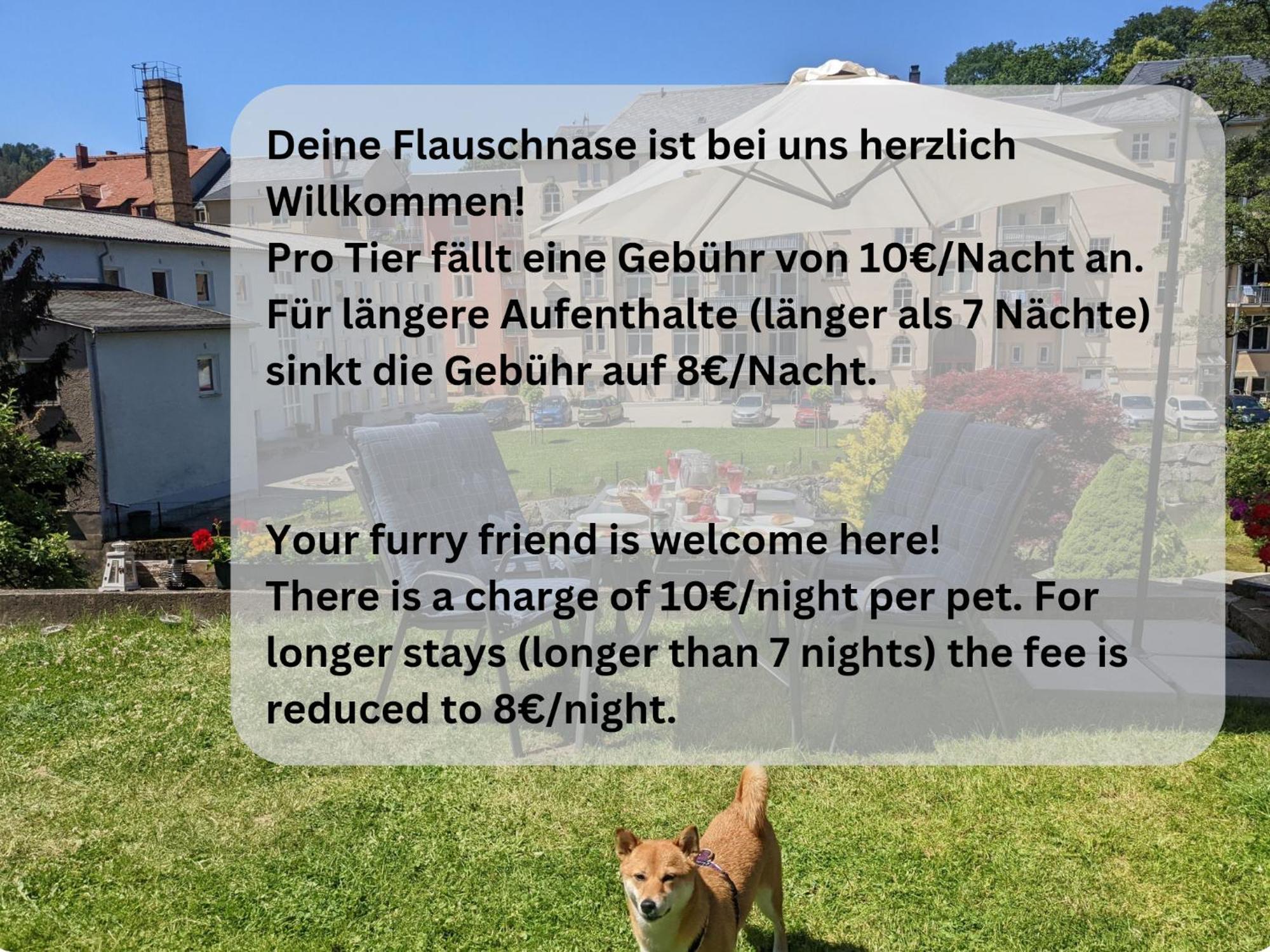 Hw1 - Urlaubsmagie - Sauna&Whirlpool Zum Entspannen Sebnitz Buitenkant foto